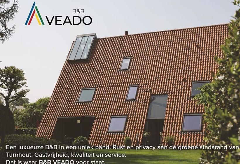 B&b Veado