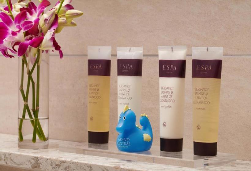 Hastings Grand Central Hotel 8