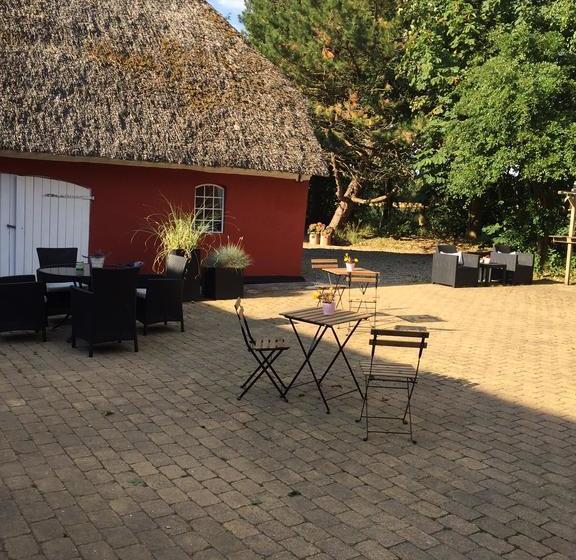 Bed and Breakfast Bed&Breakfast Alsbrogaard 3