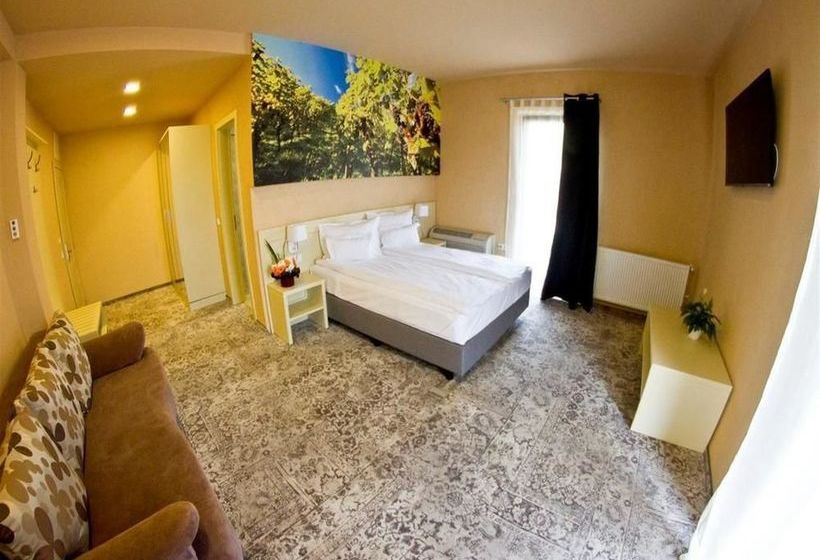 Hotel Sarea N Bucate 16