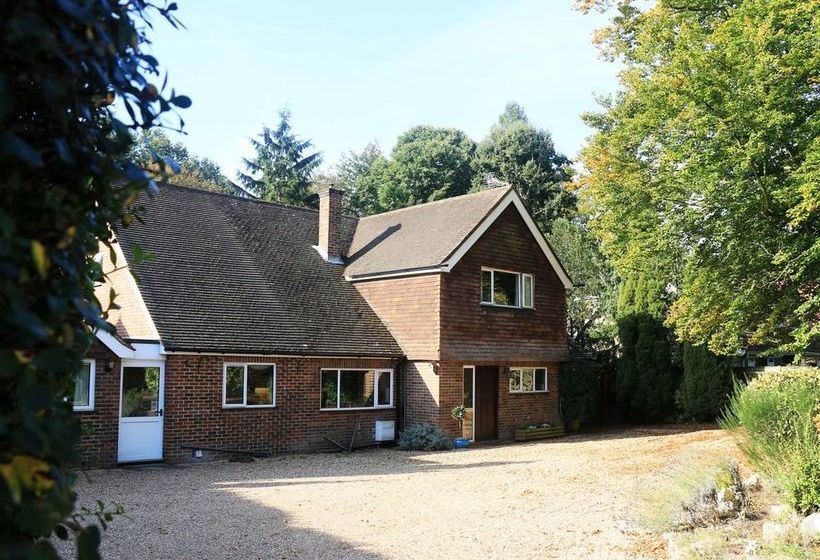 Bed and Breakfast Dawyk Beech Guesthouse