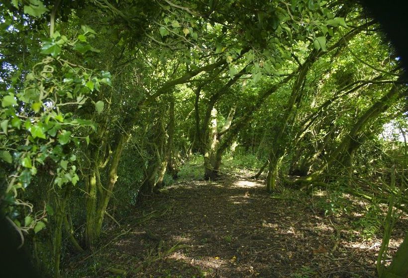 Hotel Oak Lodge Retreat 7