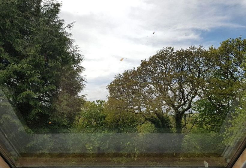 Pension (Hôtel basse catégorie) Meadow Oak 11