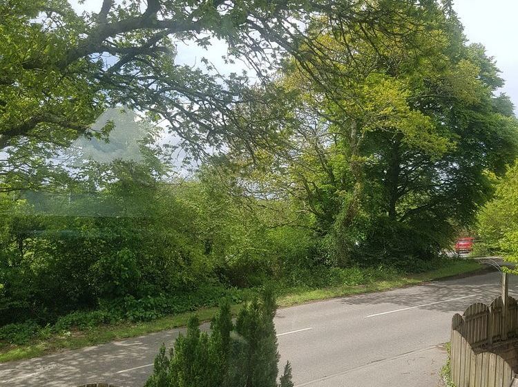 Pension (Hôtel basse catégorie) Meadow Oak 12