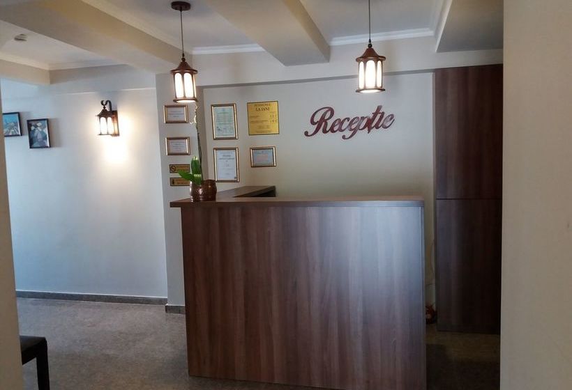 Hotel Pensiunea La Iani