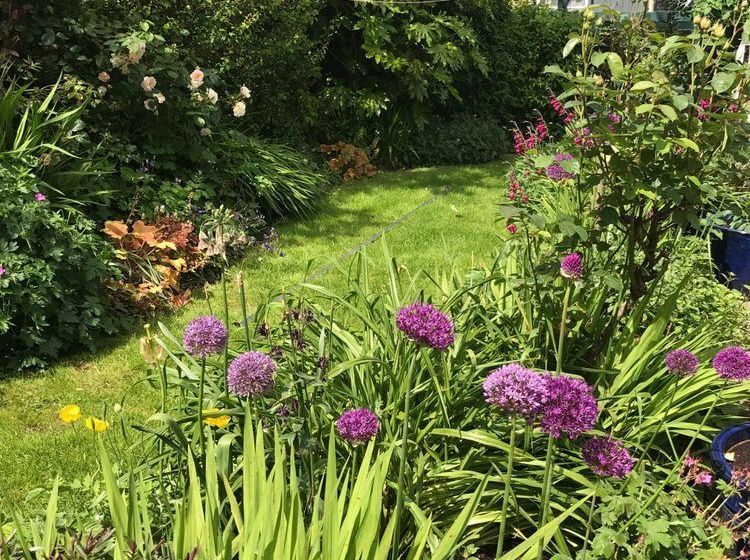 Brookdale Bed & Breakfast 17