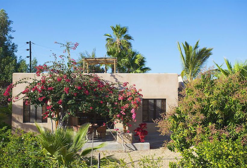 Hotel Sole Caliente  | Todos Santos | Baja California Sur | Mexico 11