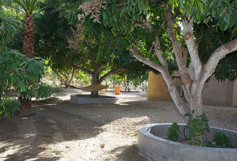 Hotel Sole Caliente  | Todos Santos | Baja California Sur | Mexico 4