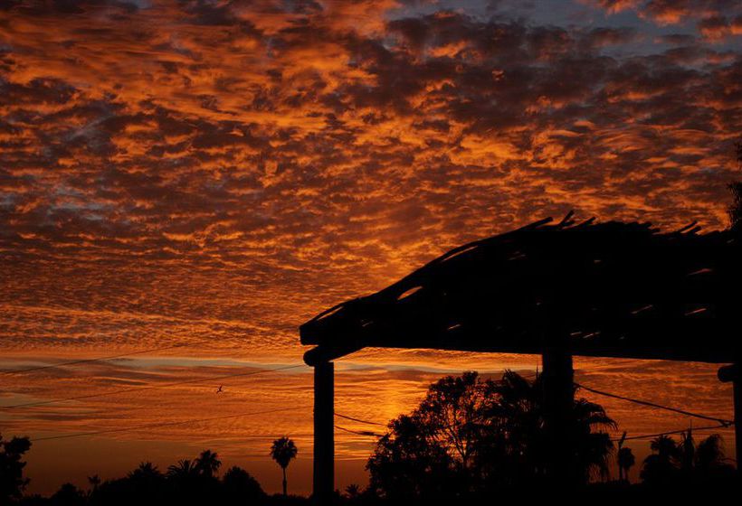Hotel Sole Caliente  | Todos Santos | Baja California Sur | Mexico 5