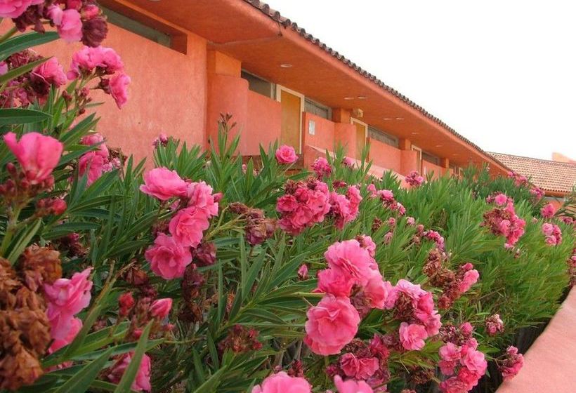 Hôtel San Felipe Marina Resort  | San Felipe | Baja California | Hôtels au Mexique 20