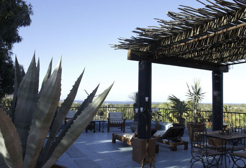 Hotel California  | Todos Santos | Baja California Sur | México 11