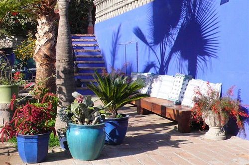 Hotel California  | Todos Santos | Baja California Sur | México 15