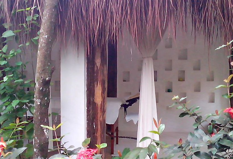 Hotel Piedra De Agua Palenque  | Palenque | Chiapas | México 10