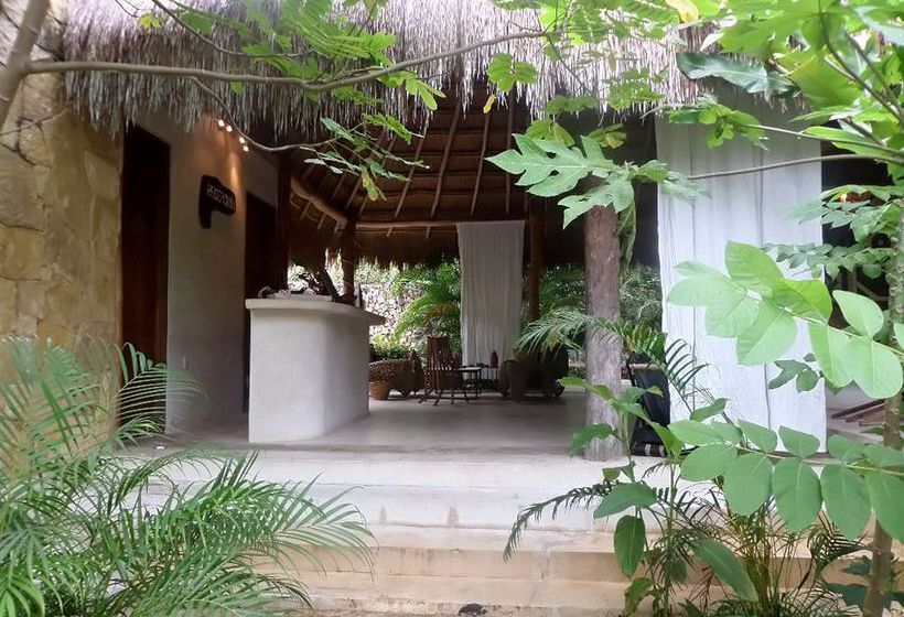 Hotel Piedra De Agua Palenque  | Palenque | Chiapas | México 12