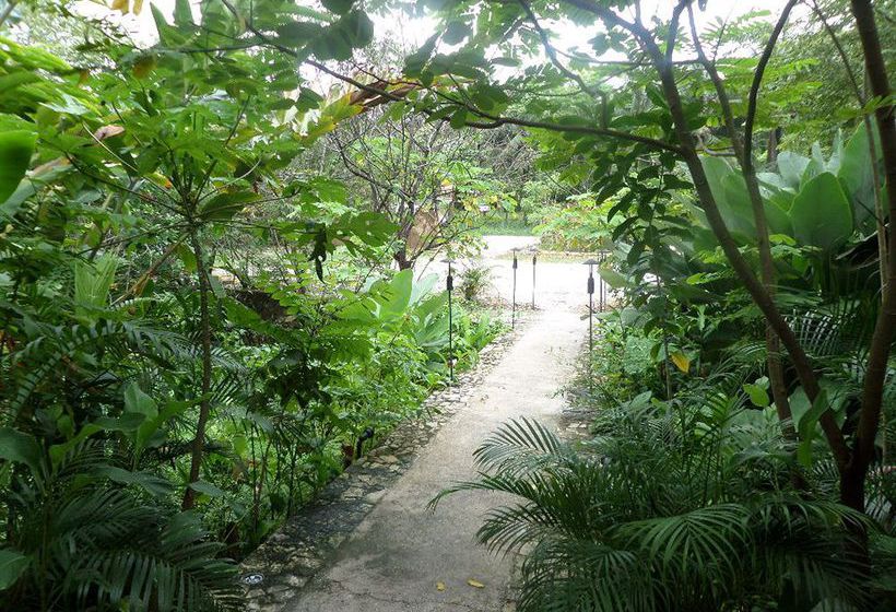 Hotel Piedra De Agua Palenque  | Palenque | Chiapas | México 3