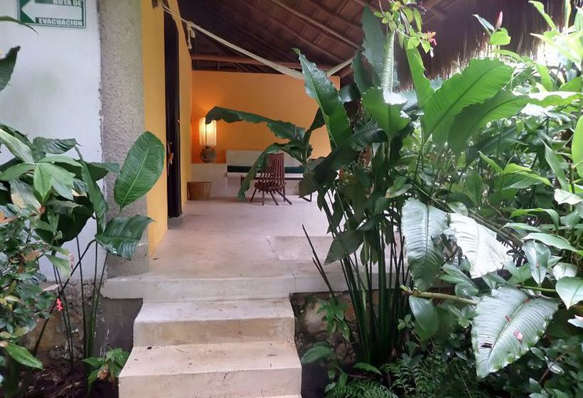 Hotel Piedra De Agua Palenque  | Palenque | Chiapas | México 4
