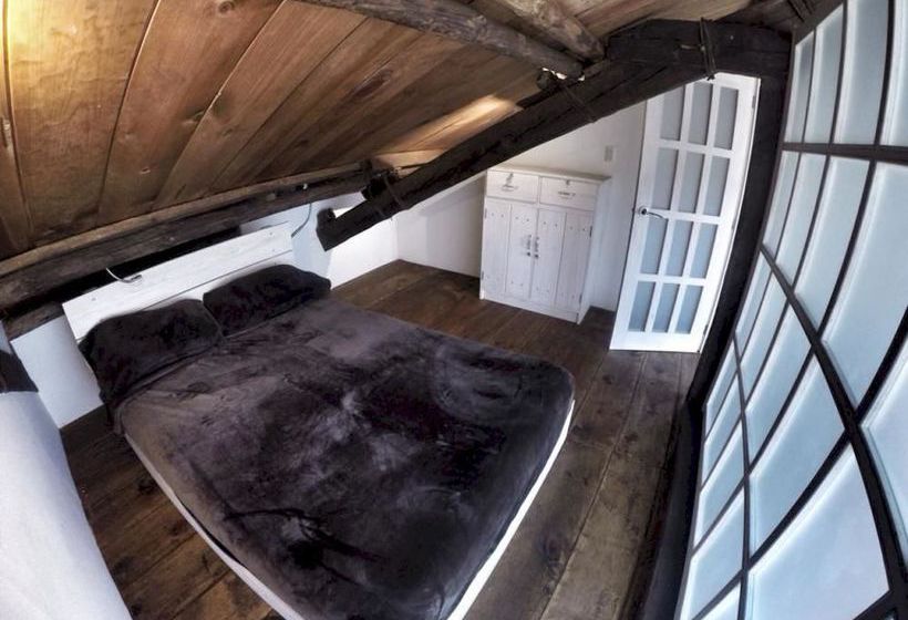 Snail Bed And Breakfast  Hostel  Adults Only  | San Cristóbal de las Casas | Chiapas | México 10