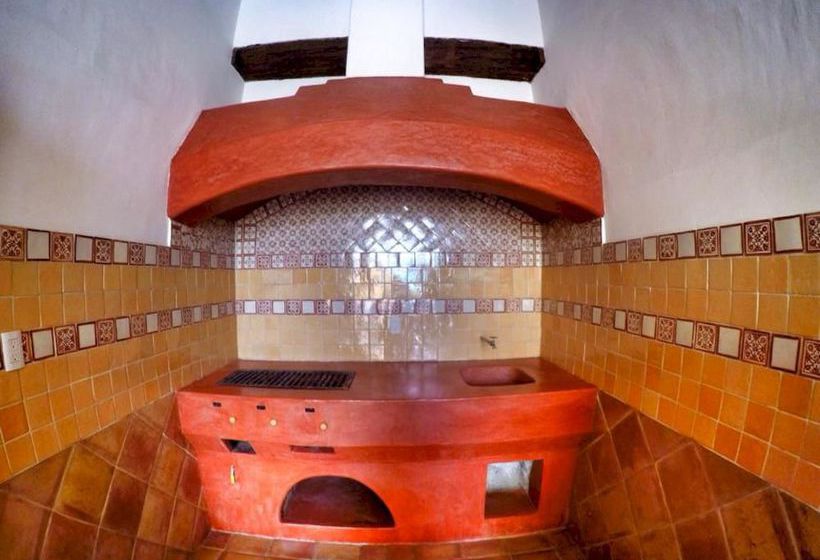 Snail Bed And Breakfast  Hostel  Adults Only  | San Cristóbal de las Casas | Chiapas | México 15