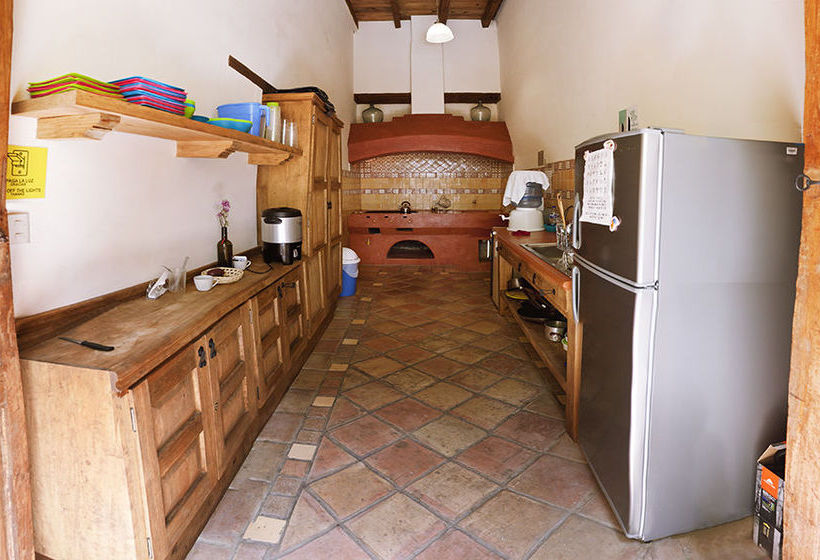 Snail Bed And Breakfast  Hostel  Adults Only  | San Cristóbal de las Casas | Chiapas | México 17