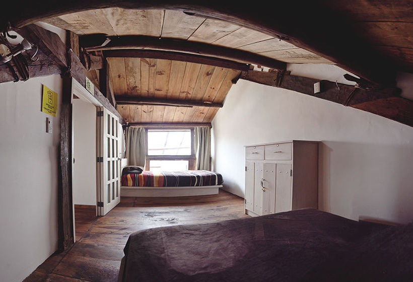 Snail Bed And Breakfast  Hostel  Adults Only  | San Cristóbal de las Casas | Chiapas | México 18