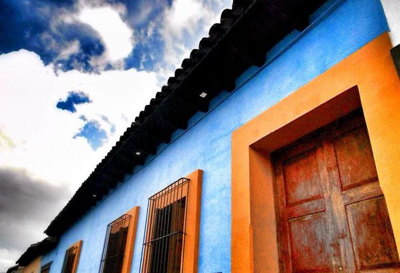 Snail Bed And Breakfast  Hostel  Adults Only  | San Cristóbal de las Casas | Chiapas | México 3