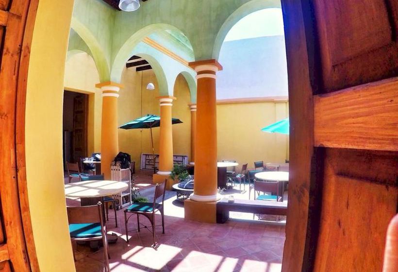 Snail Bed And Breakfast  Hostel  Adults Only  | San Cristóbal de las Casas | Chiapas | México 7