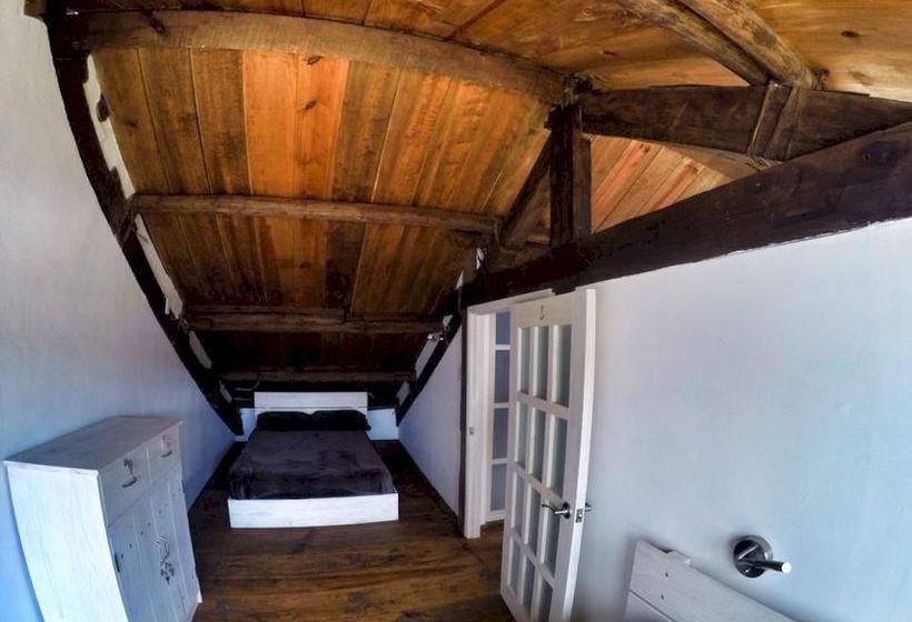 Snail Bed And Breakfast  Hostel  Adults Only  | San Cristóbal de las Casas | Chiapas | México 9