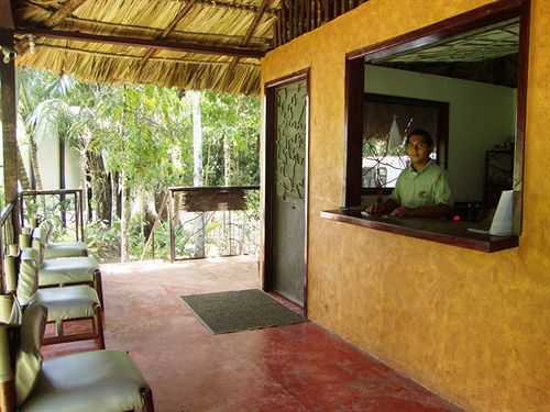 Kin Balam Cabañas   | Palenque | Chiapas | México 12