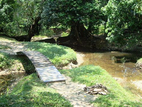 Kin Balam Cabañas   | Palenque | Chiapas | México 8