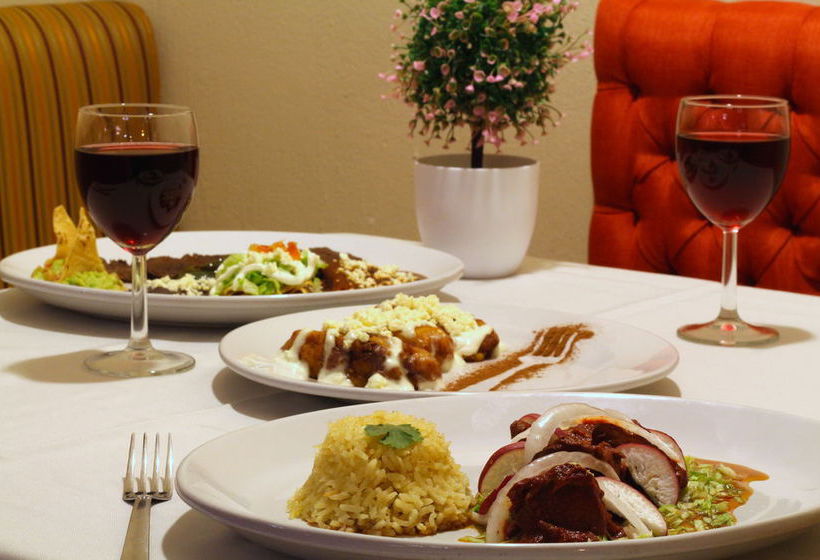 Hotel Del Carmen  | Tuxtla Gutierrez | Chiapas | México 20