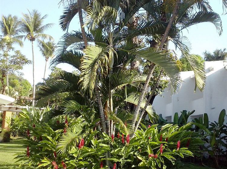 Hotel Comfort Inn Tapachula Kamico Tapachula Chiapas