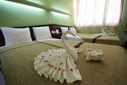 Hotel Palenque  | Palenque | Chiapas | México 16