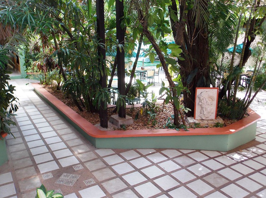 Hotel Maya Tulipanes  | Palenque | Chiapas | México 7