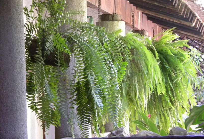 Hotel Ciudad Real Palenque  | Palenque | Chiapas | México 7