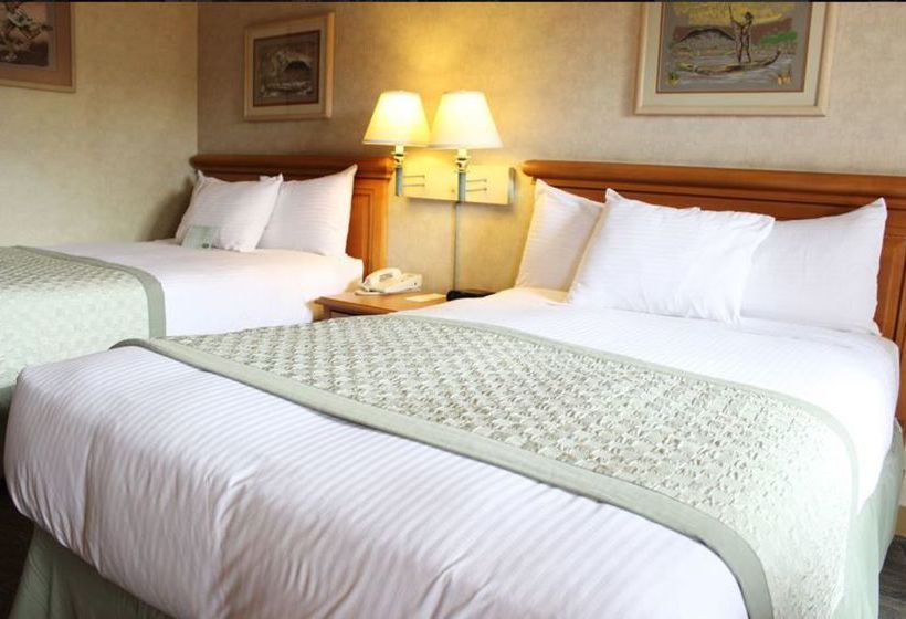 Hotel Lucerna Mexicali  | Mexicali | Baja California | México 6