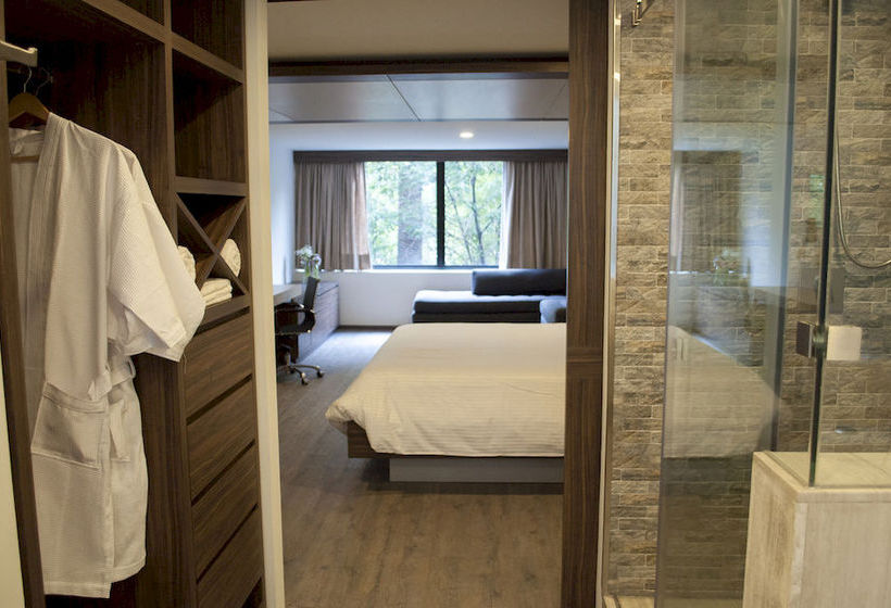 Hotel Flowsuites Condesa  | Ciudad de México | Ciudad de México | México 12