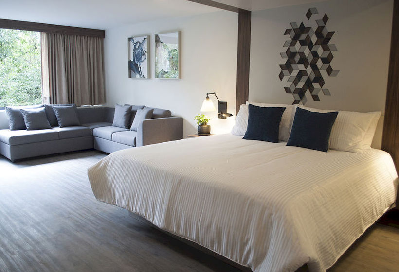 Hotel Flowsuites Condesa  | Ciudad de México | Ciudad de México | México 15