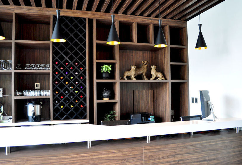 Hotel Flowsuites Condesa  | Ciudad de México | Ciudad de México | México 7