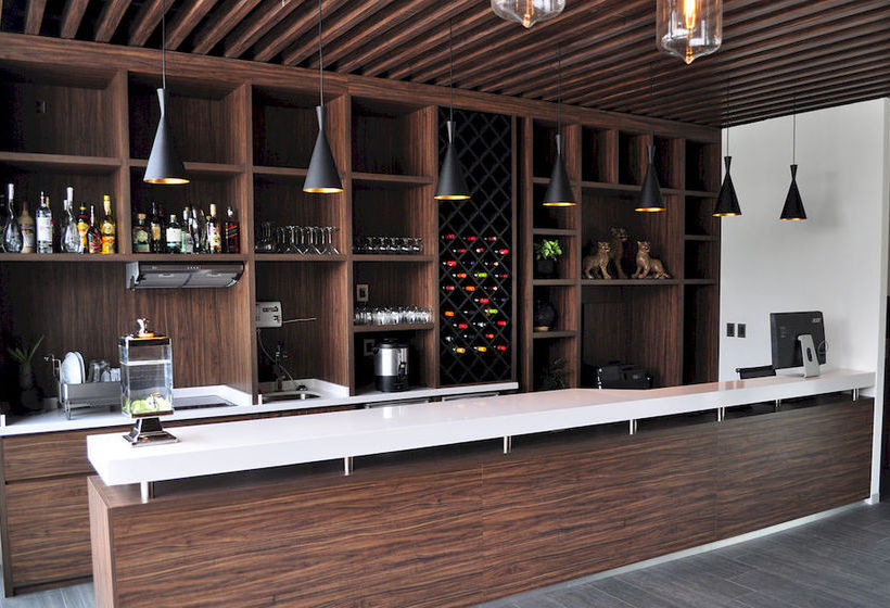 Hotel Flowsuites Condesa  | Ciudad de México | Ciudad de México | México 8