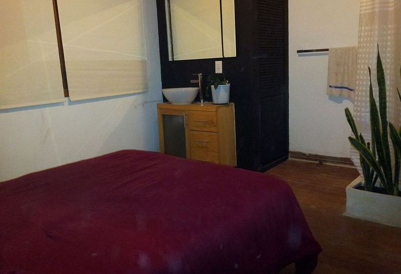 Bed and Breakfast Bed&Breakfast La Querencia DF  | Ciudad de México | Ciudad de México | México 13