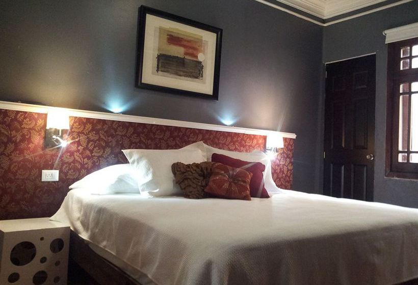 Bed and Breakfast Bed&Breakfast La Querencia DF  | Ciudad de México | Ciudad de México | México 7