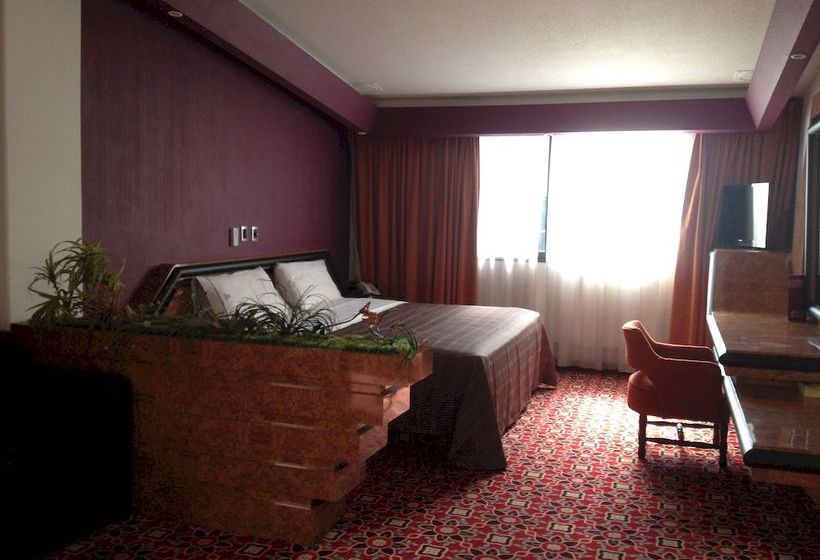 Hotel Cartagena  | Ciudad de México | Ciudad de México | México 14