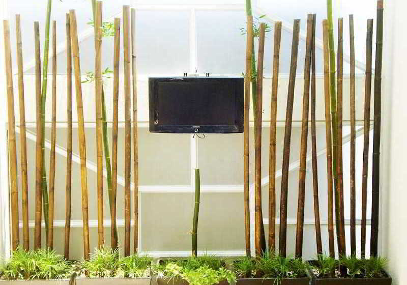 Hotel Suites Taine  | Ciudad de México | Ciudad de México | México 8