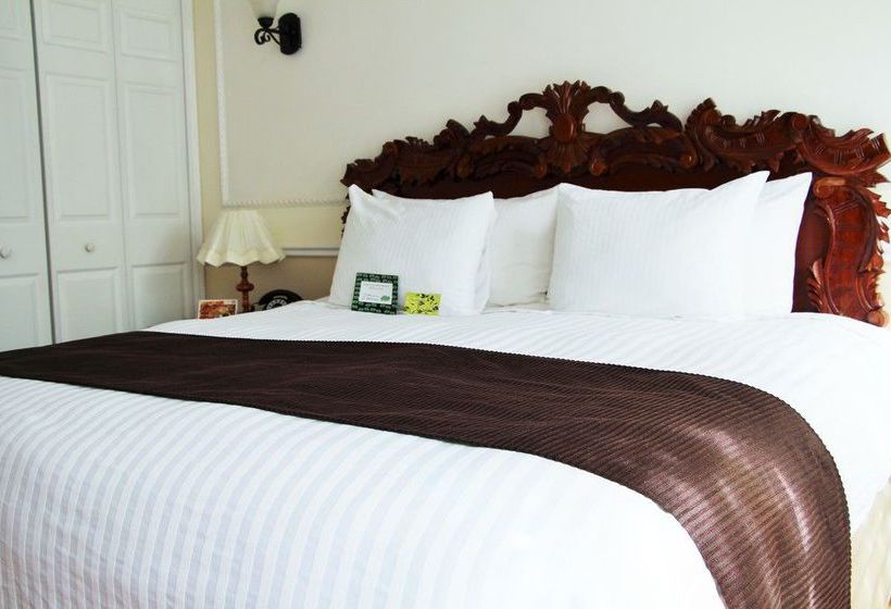 Hotel Suite Royal Colonial  | Ciudad de México | Ciudad de México | México 11