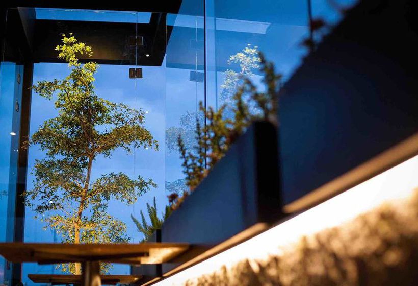 Hotel Othelo  | León | Guanajuato | México 9