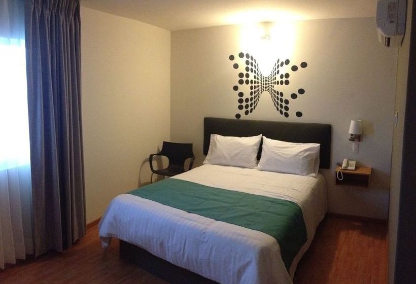 Hotel Dajana Boulevard  | León | Guanajuato | México 16