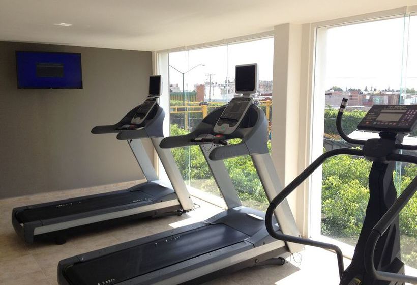 Hotel Dajana Boulevard  | León | Guanajuato | México 5