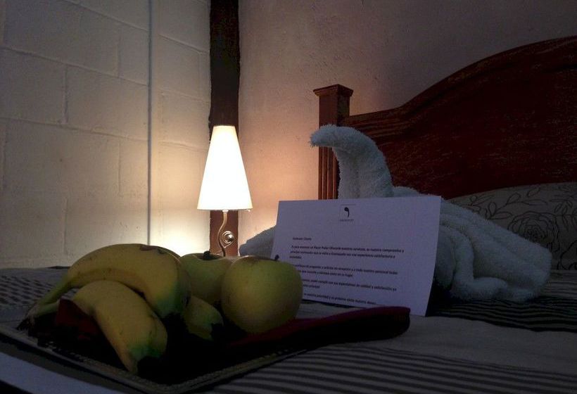 Hotel Casona De Las Aves  | Guanajuato | Guanajuato | México 9