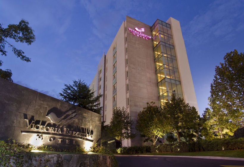Hotel Victoria Express Guadalajara  | Guadalajara | Jalisco | México 14