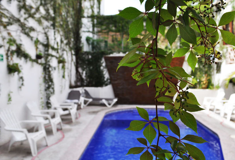Hotel Hacienda de Vallarta Centro  | Puerto Vallarta | Jalisco | México 19
